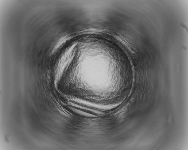 X0000096471355200802141648