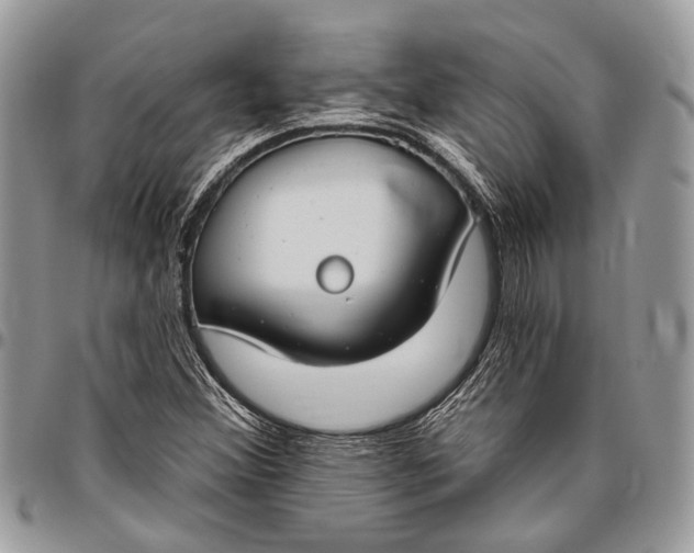 X0000096471356200802141648