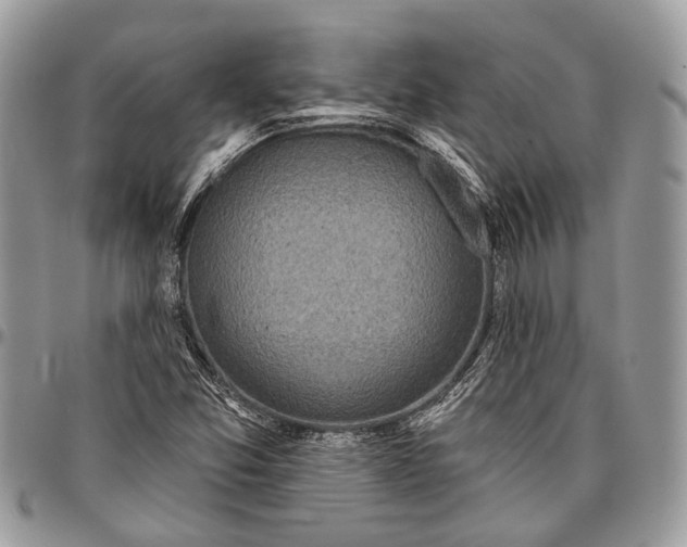 X0000096471357200802141648