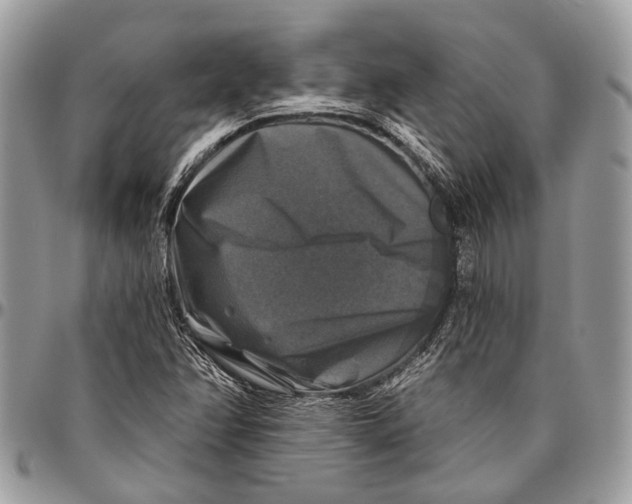 X0000096471358200802141648