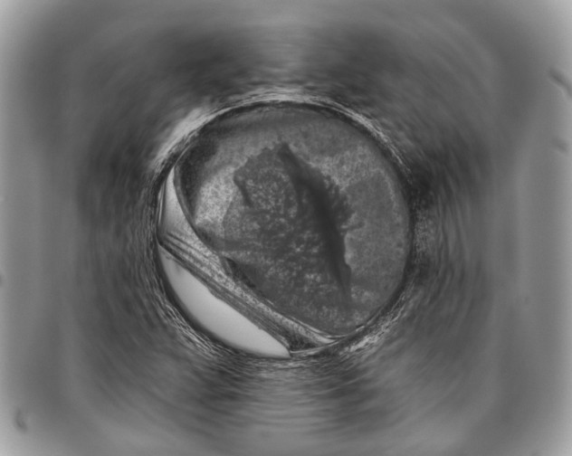 X0000096471359200802141648