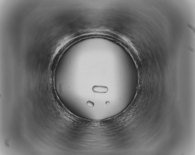 X0000096471360200802141648