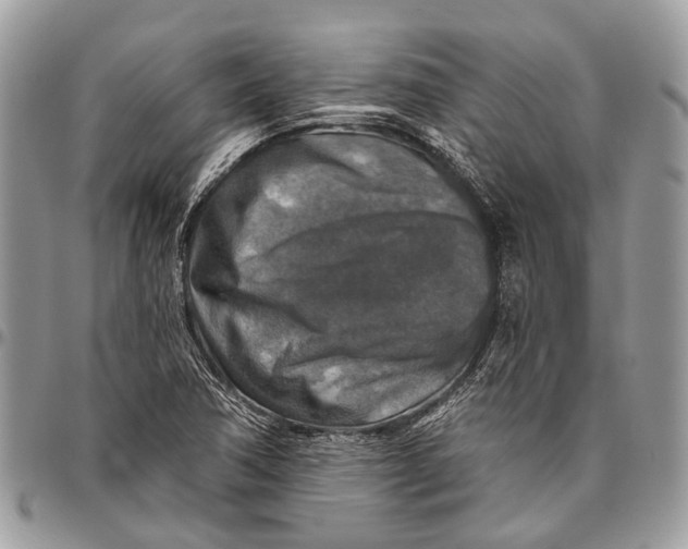 X0000096471362200802141648