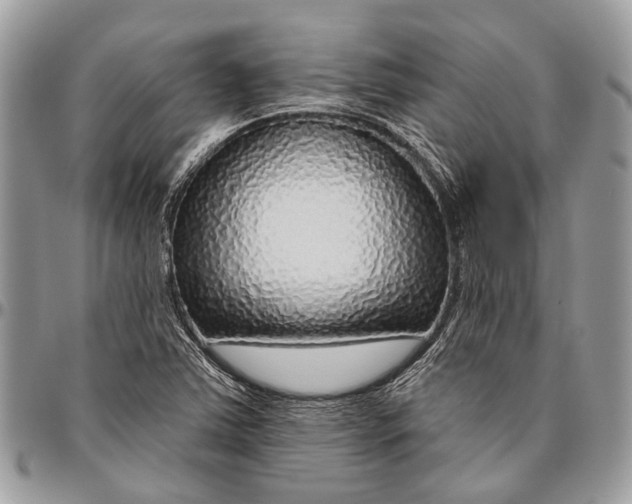 X0000096471363200802141648