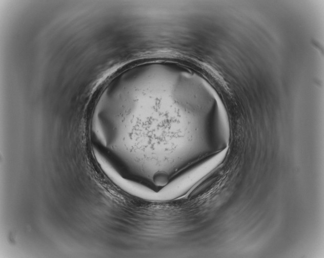 X0000096471364200802141648