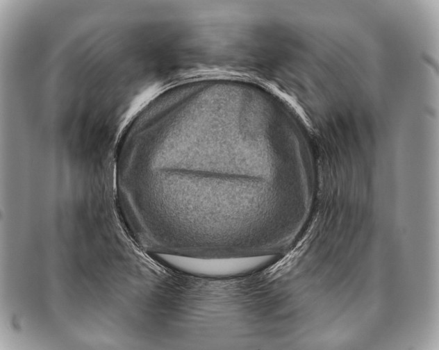 X0000096471365200802141648