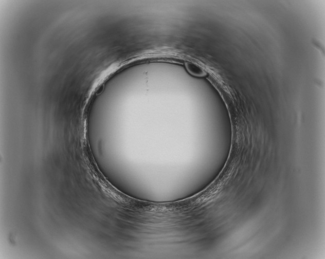 X0000096471366200802141648