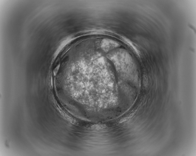 X0000096471368200802141648