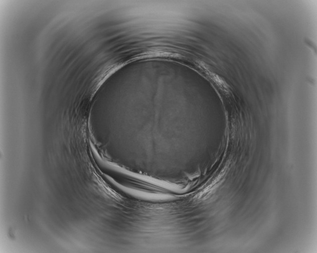 X0000096471369200802141648