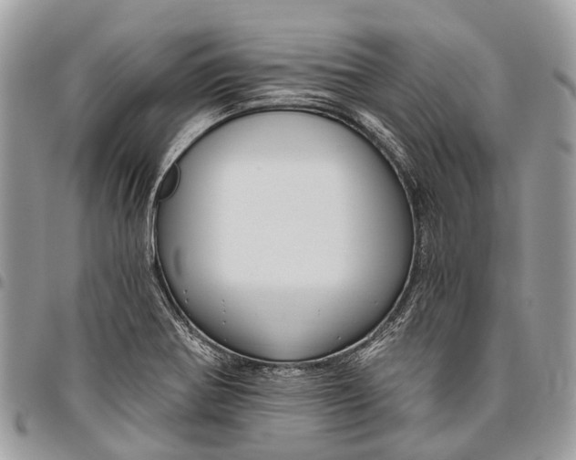 X0000096471370200802141648