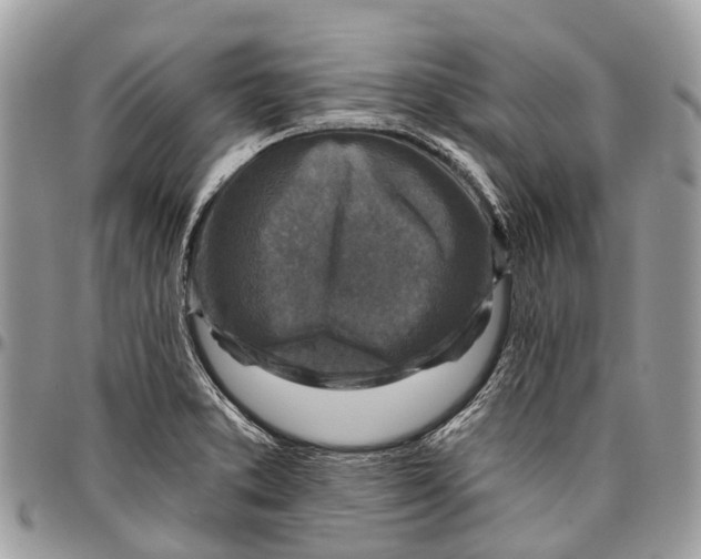 X0000096471373200802141648