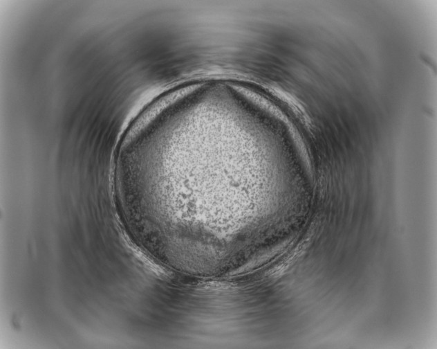 X0000096471374200802141648