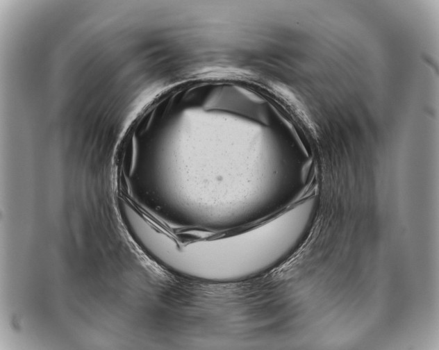 X0000096471376200802141648