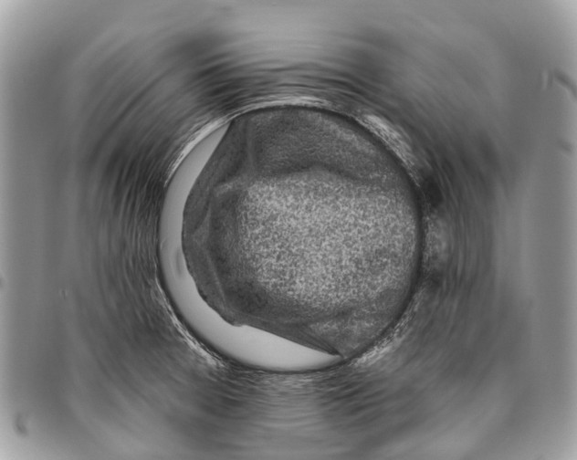 X0000096471377200802141648