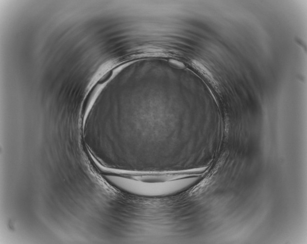 X0000096471378200802141648