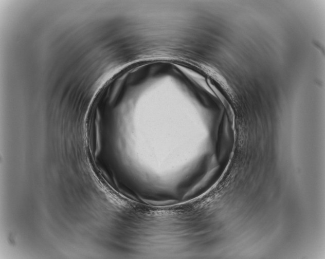 X0000096471380200802141648