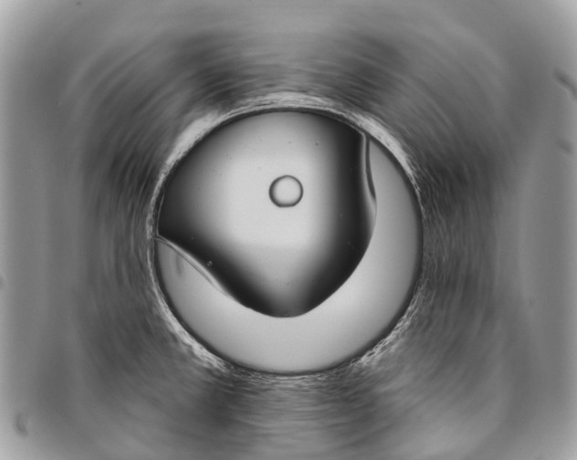 X0000096471381200802141648