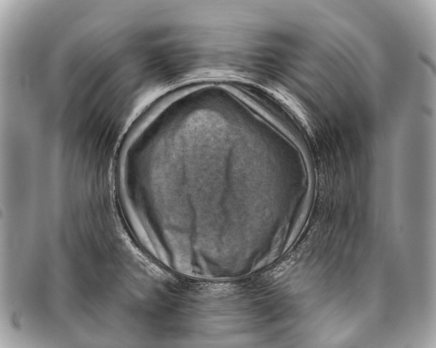 X0000096471382200802141648