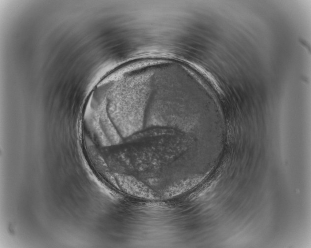 X0000096471383200802141648