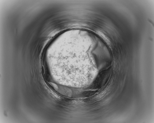 X0000096471384200802141648