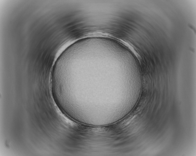 X0000096471387200802141647