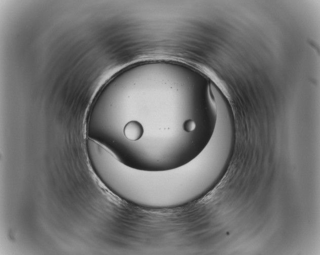 X0000096471388200802141647