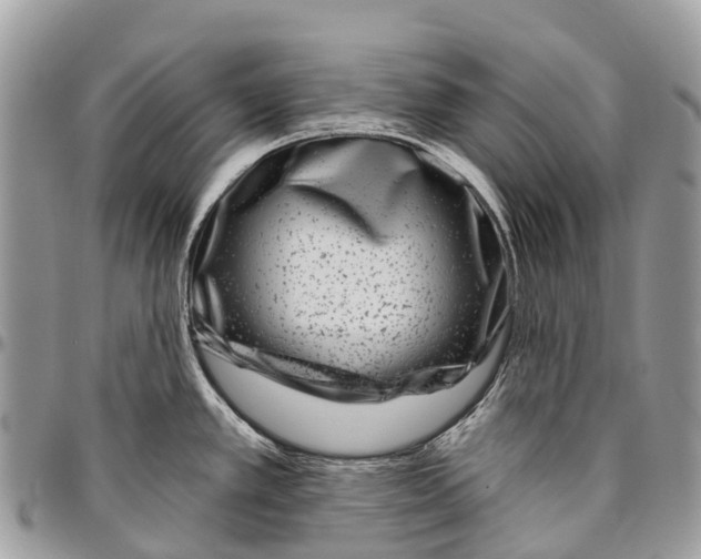 X0000096471389200802141647