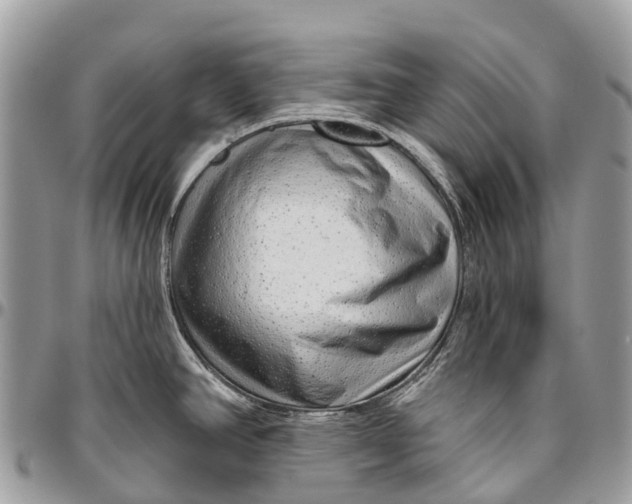 X0000096471390200802141647