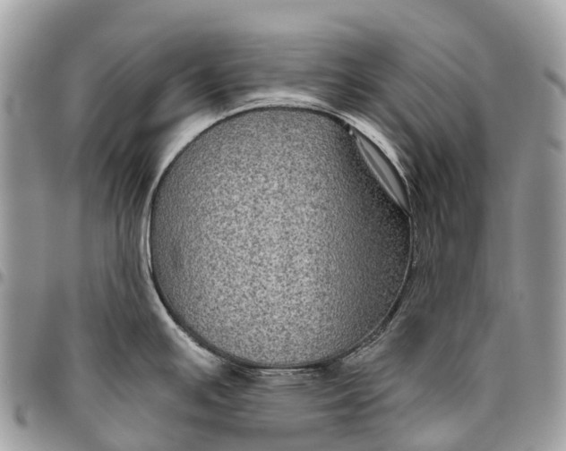 X0000096471391200802141647