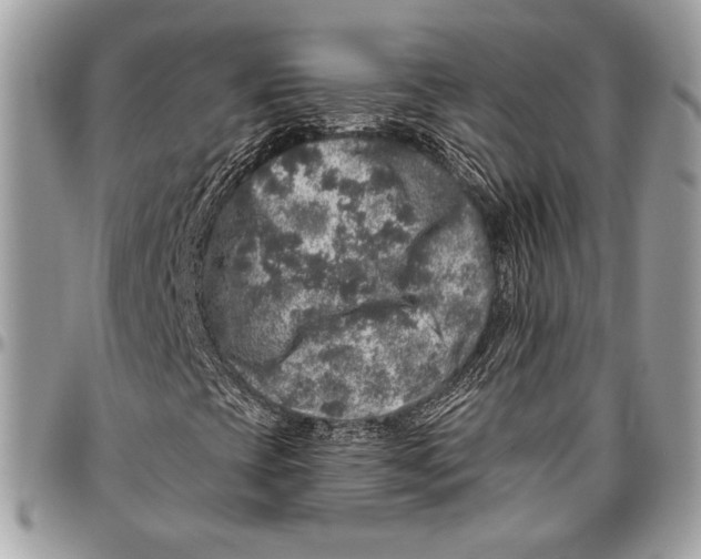 X0000096471393200802141647