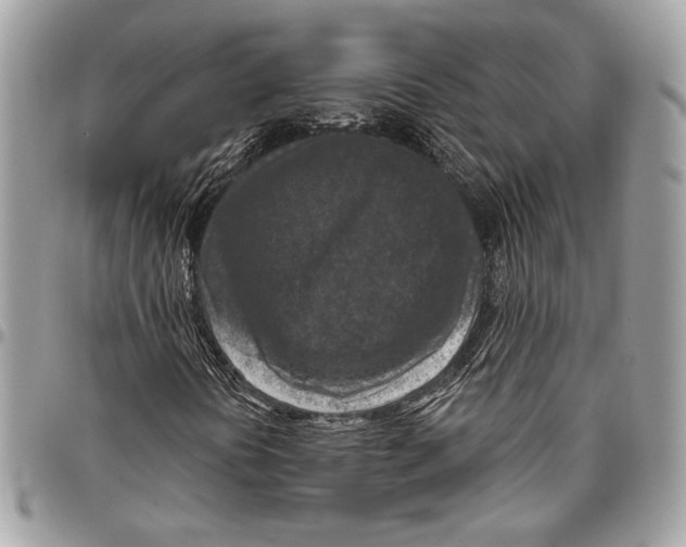 X0000096471394200802141647