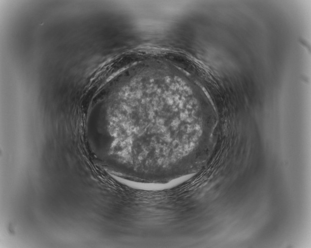 X0000096471397200802141647