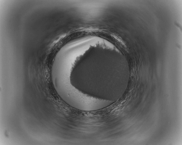 X0000096471398200802141647