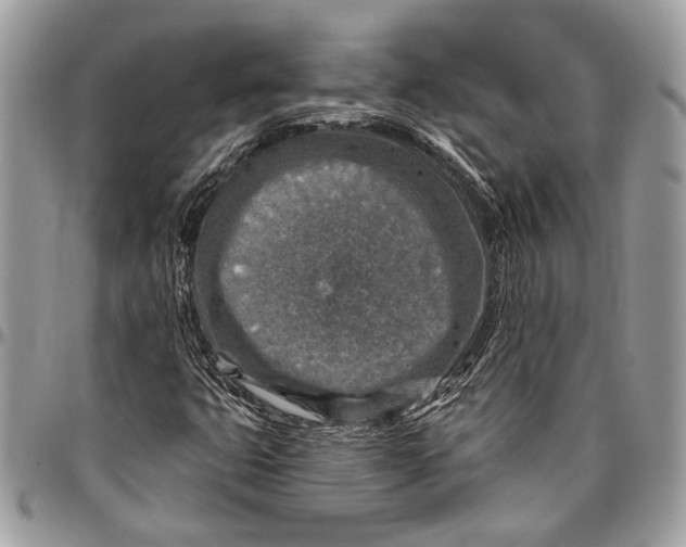 X0000096471399200802141647