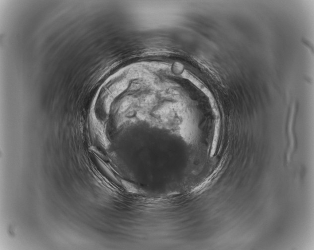 X0000096471401200802141647