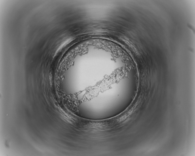 X0000096471402200802141647