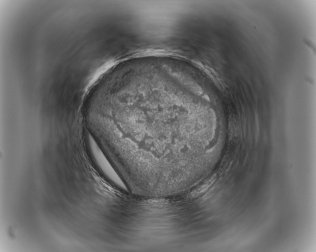 X0000096471406200802141647