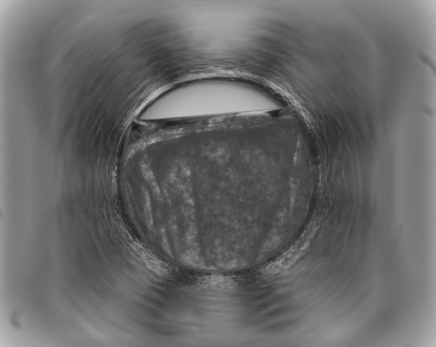 X0000096471409200802141647