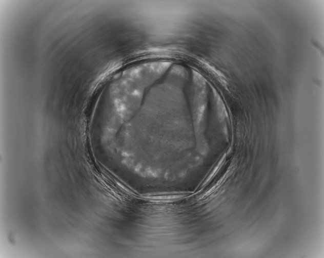 X0000096471411200802141647