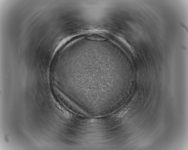 X0000096471412200802141647