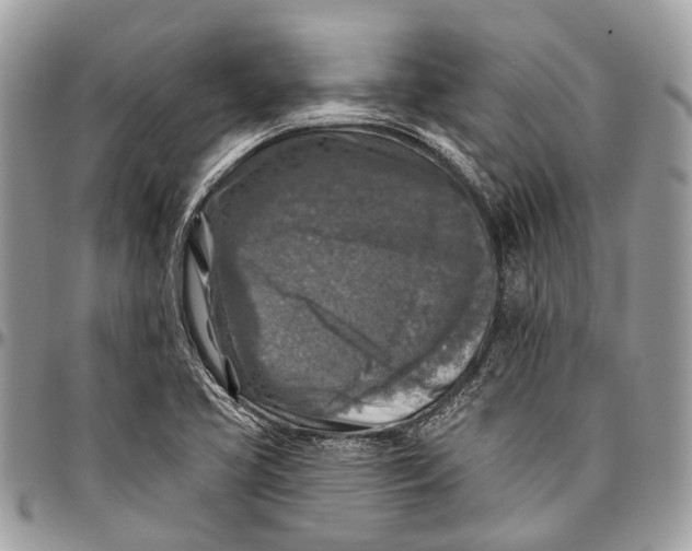 X0000096471413200802141647