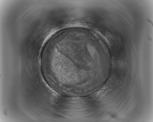 X0000096471416200802141647