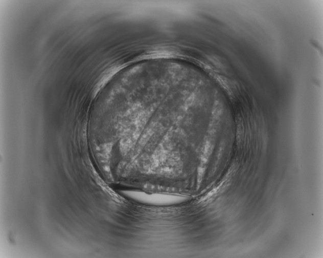 X0000096471417200802141647