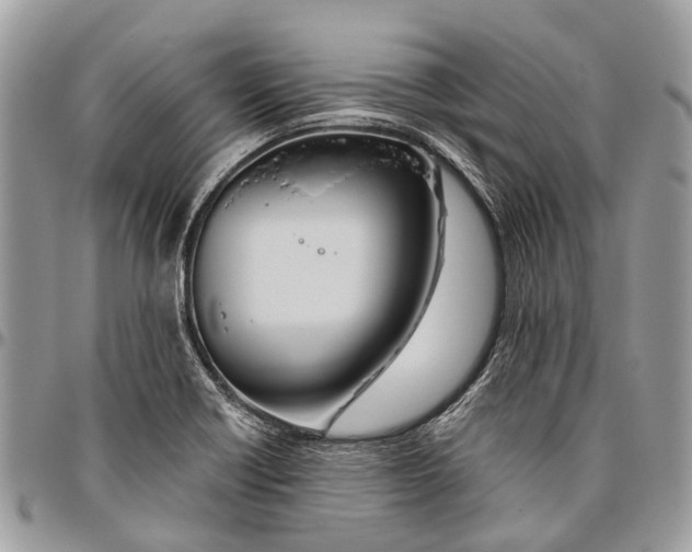 X0000096471418200802141647