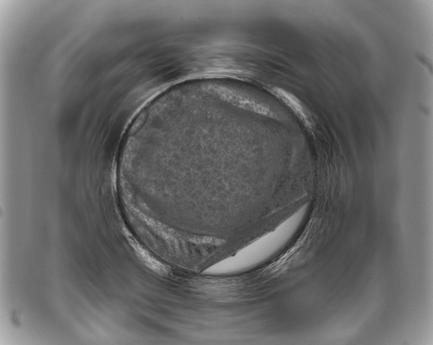 X0000096471420200802141647