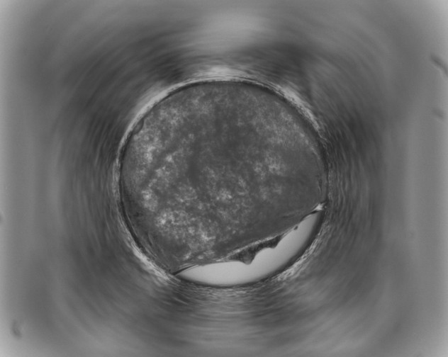 X0000096471421200802141647