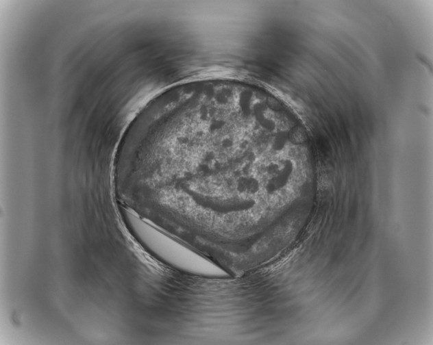 X0000096471423200802141647