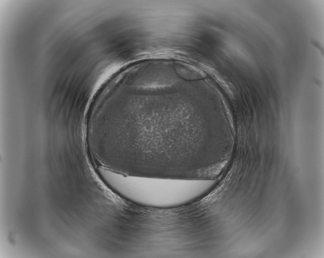 X0000096471424200802141647