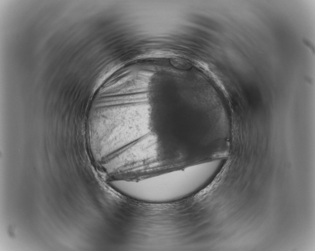 X0000096471425200802141647