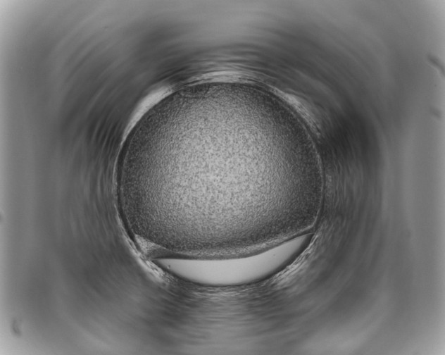 X0000096471426200802141647